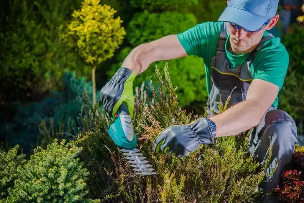 landscaping services Arabi